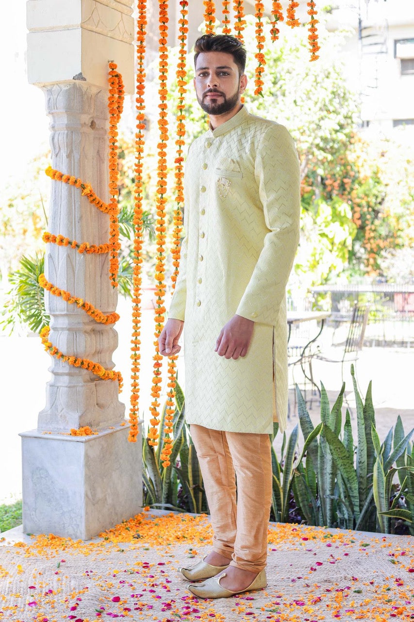 Pistachio Semi Indo-Western Suit.