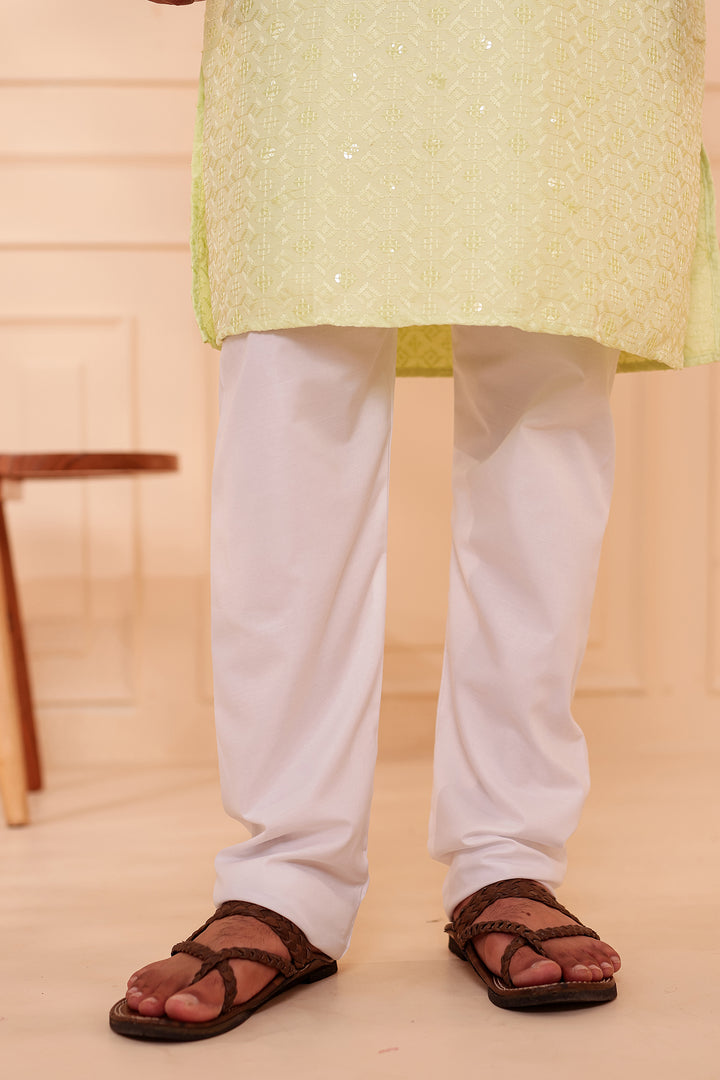 Mint Green Lucknowi Chikankari Kurta Suit with Sequin Work.