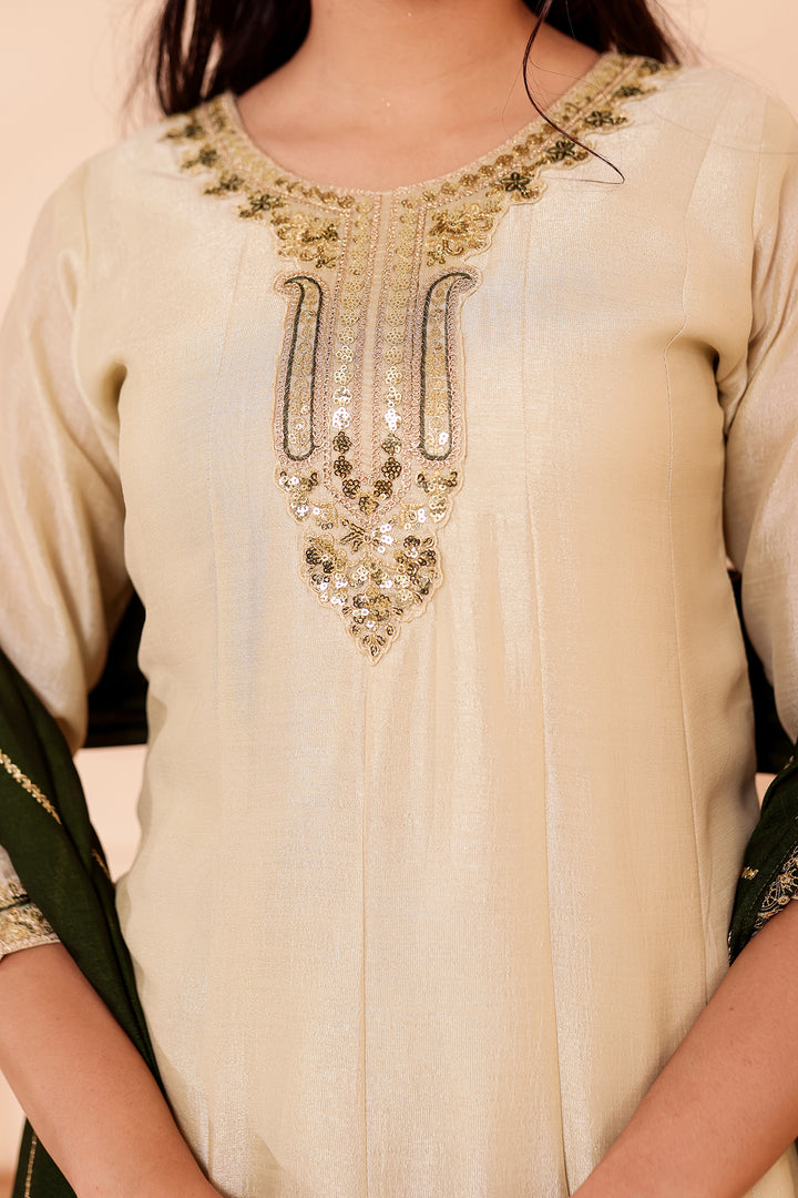 Pista Green Vichitra Silk Anarkali Suit.
