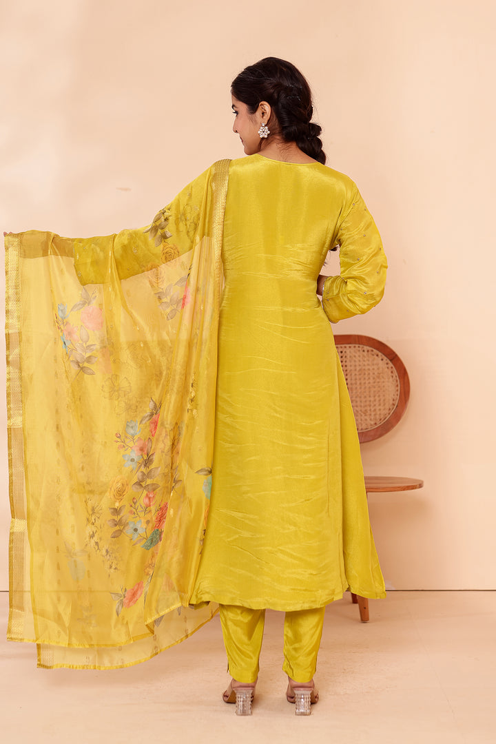Light Green Tissue Silk A Line Suit.